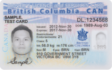 Kanadischer Führerschein online zum Verkauf