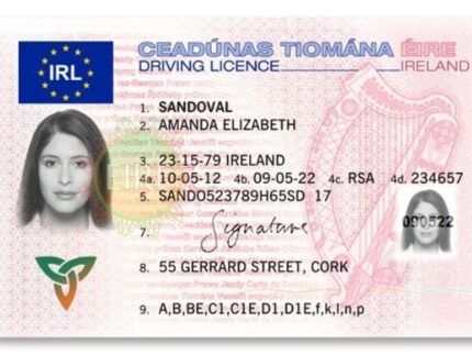 Irischer Führerschein online zum Verkauf