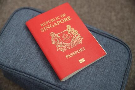 Kaufen Sie einen gefälschten Singapur-Pass